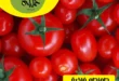 عروض أسواق حكاية اليوم – مهرجان الفاكهة والخضار الطازة ليوم واحد فقط. 19 عروض أسواق حكاية اليوم – مهرجان الفاكهة والخضار الطازة ليوم واحد فقط