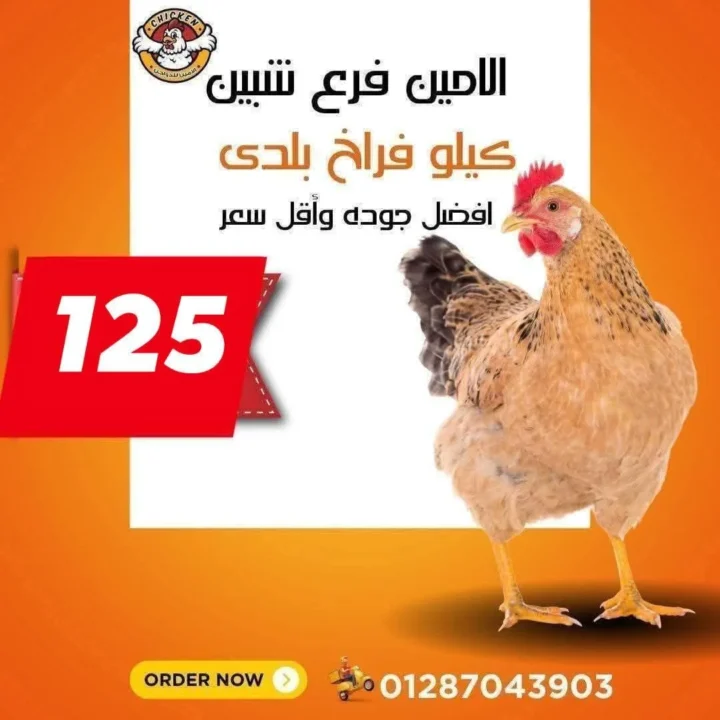 عروض الأمين للدواجن في الإسماعيلية: أسعار الثلاثاء اللي مكسره السوق. 13 عروض الأمين للدواجن في الإسماعيلية: أسعار الثلاثاء اللي مكسره السوق.