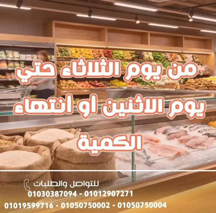 عروض أسواق غلاب بالفيوم 2026.. خصومات قوية تستمر حتى 27 أبريل على كل احتياجات البيت. 2 عروض أسواق غلاب بالفيوم 2026.. خصومات قوية تستمر حتى 27 أبريل على كل احتياجات البيت