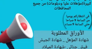 وظائف التوحيد والنور 2026.. تعيين فوري لجميع المؤهلات برواتب مجزية (التقديم يومي).