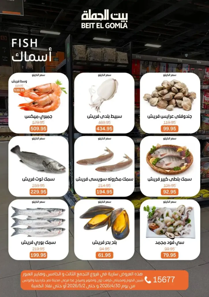 عروض بيت الجملة 2026 | أقوى عروض الويك إند على كل احتياجات البيت. 10 عروض بيت الجملة 2026 | أقوى عروض الويك إند على كل احتياجات البيت
