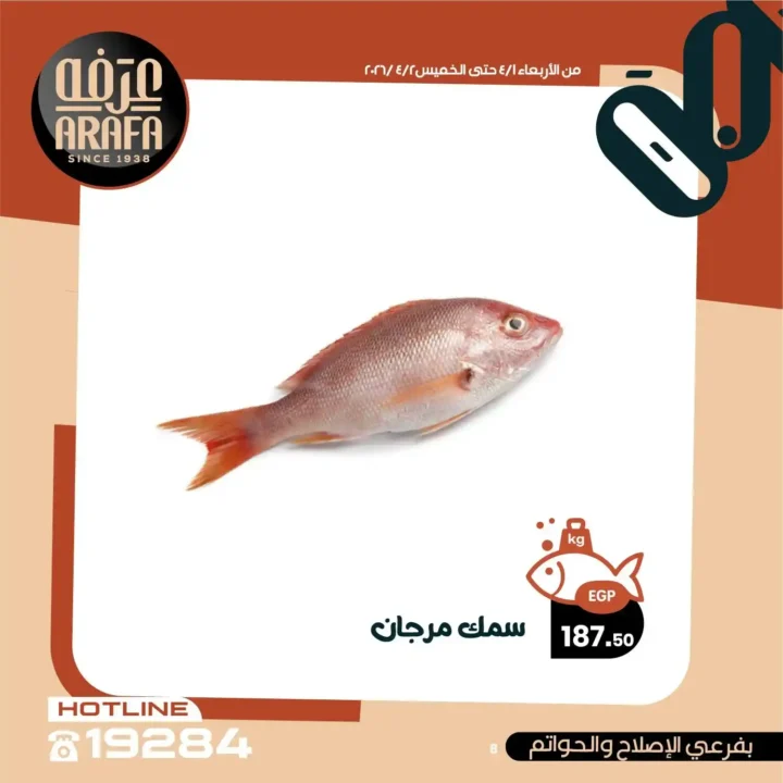 عروض عرفه ماركت 2026.. خصومات الويك إند على الأسماك الطازجة يومين فقط 🔥 10 عروض عرفه ماركت 2026.. خصومات الويك إند على الأسماك