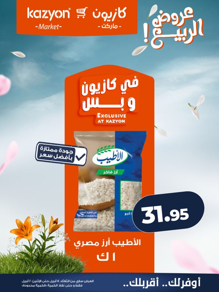 عروض كازيون 2026.. برومو التوفير يبدأ الآن من 14 إلى 20 أبريل بأسعار لا تفوت. 11 عروض كازيون