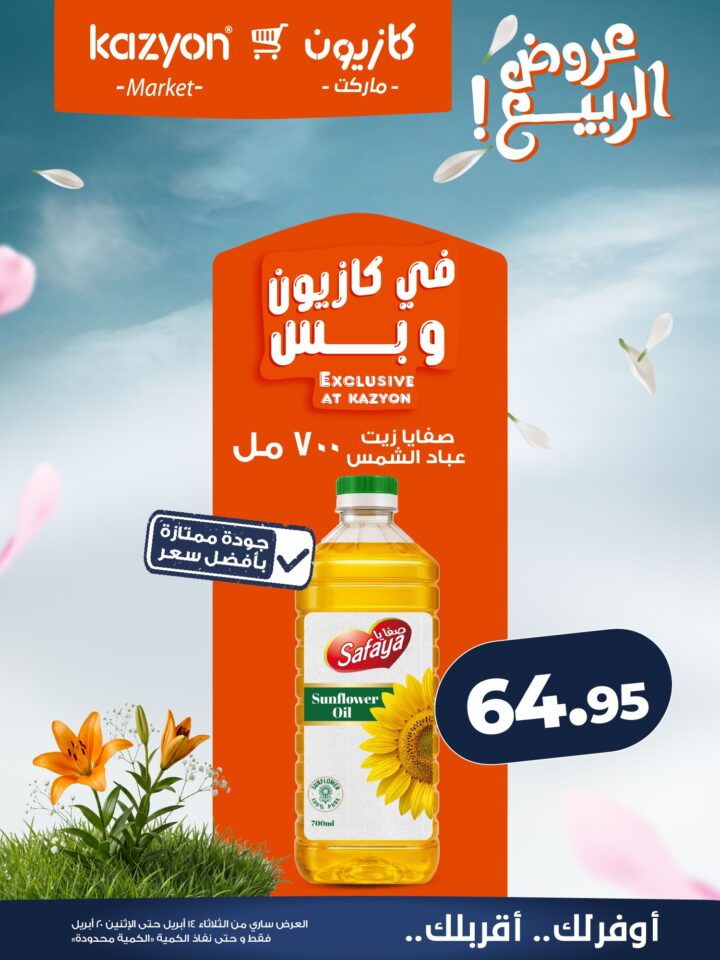 عروض كازيون 2026.. برومو التوفير يبدأ الآن من 14 إلى 20 أبريل بأسعار لا تفوت. 12 عروض كازيون