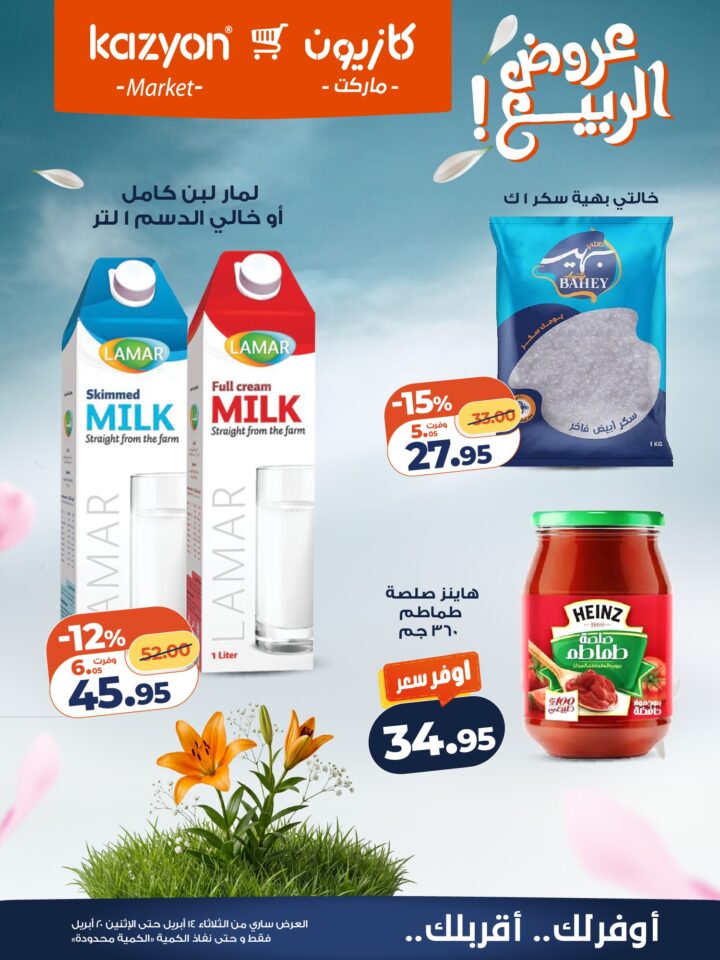 عروض كازيون 2026.. برومو التوفير يبدأ الآن من 14 إلى 20 أبريل بأسعار لا تفوت. 13 عروض كازيون