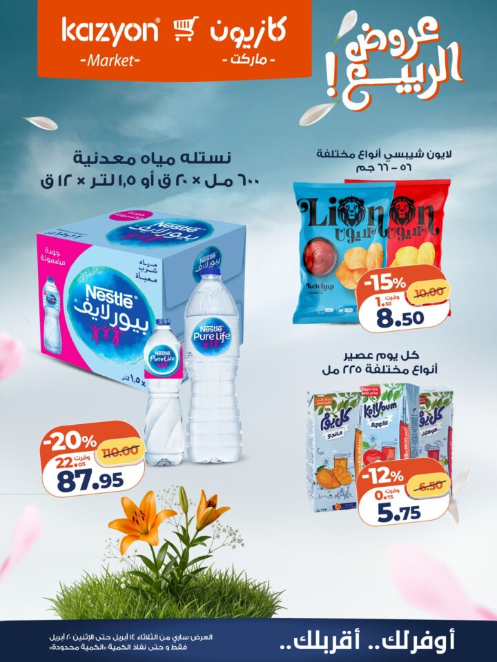 عروض كازيون 2026.. برومو التوفير يبدأ الآن من 14 إلى 20 أبريل بأسعار لا تفوت. 16 عروض كازيون