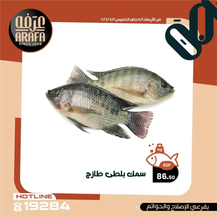 عروض عرفه ماركت 2026.. خصومات الويك إند على الأسماك الطازجة يومين فقط 🔥 3 عروض عرفه ماركت 2026.. خصومات الويك إند على الأسماك