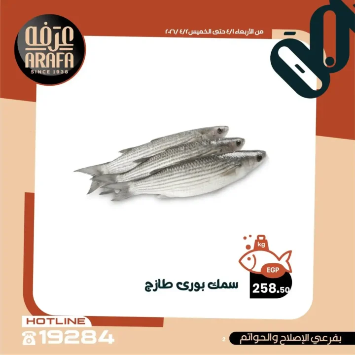 عروض عرفه ماركت 2026.. خصومات الويك إند على الأسماك الطازجة يومين فقط 🔥 4 عروض عرفه ماركت 2026.. خصومات الويك إند على الأسماك