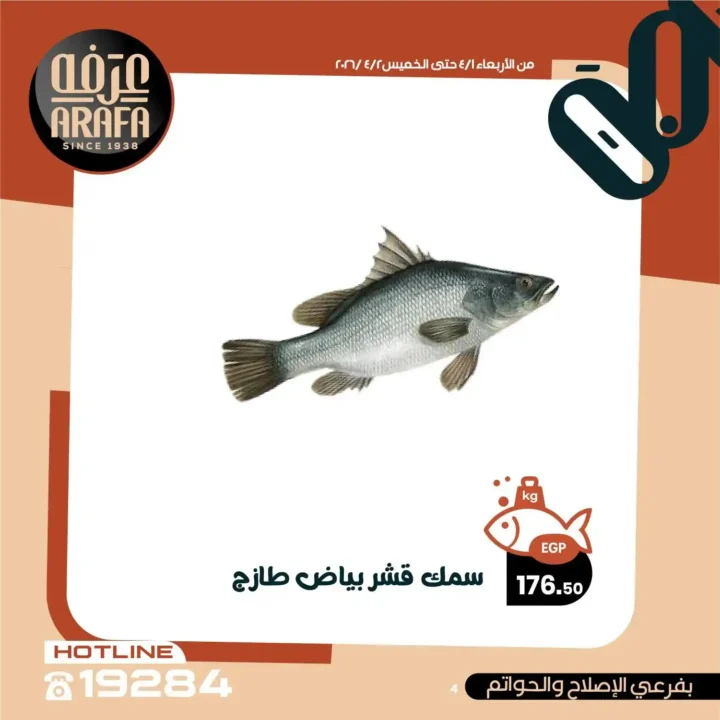 عروض عرفه ماركت 2026.. خصومات الويك إند على الأسماك الطازجة يومين فقط 🔥 6 عروض عرفه ماركت 2026.. خصومات الويك إند على الأسماك