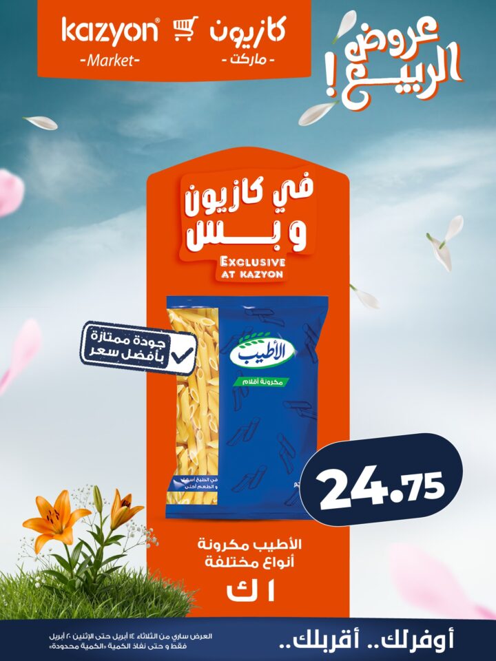 عروض كازيون 2026.. برومو التوفير يبدأ الآن من 14 إلى 20 أبريل بأسعار لا تفوت. 9 عروض كازيون