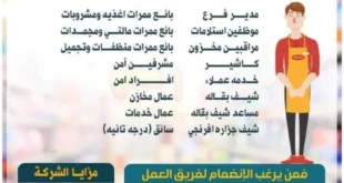 وظائف مكاوي ماركت 2026 .. رواتب مجزية وفرص ترقية حقيقية لجميع التخصصات