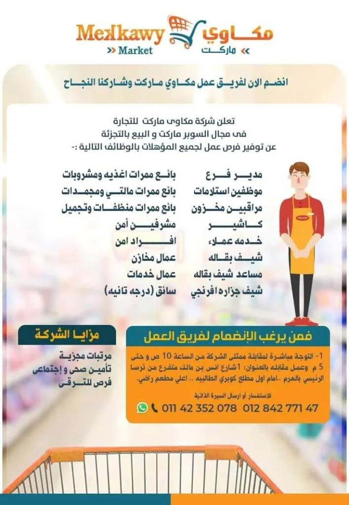 وظائف مكاوي ماركت 2026 .. رواتب مجزية وفرص ترقية حقيقية لجميع التخصصات 1 وظائف مكاوي ماركت 2026 .. رواتب مجزية وفرص ترقية حقيقية لجميع التخصصات