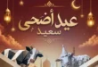 عروض هايبروان 2026.. خصومات قوية على المنظفات والمناديل والعناية الشخصية حتى 31 مايو. 30 عروض هايبروان 2026.. خصومات قوية على المنظفات والمناديل والعناية الشخصية حتى 31 مايو.