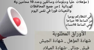 وظائف التوحيد والنور 2026.. إعلان تعيينات فورية لجميع المؤهلات برواتب مجزية