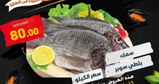 عروض المحلاوي ماركت 2026.. مهرجان الأسماك والسي فود بأسعار مفاجأة ليوم واحد فقط.
