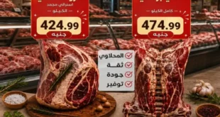 عروض أولاد المحلاوي عيد الأضحى 2026.. تخفيضات قوية على السلع الغذائية والمنظفات بكل الفروع.