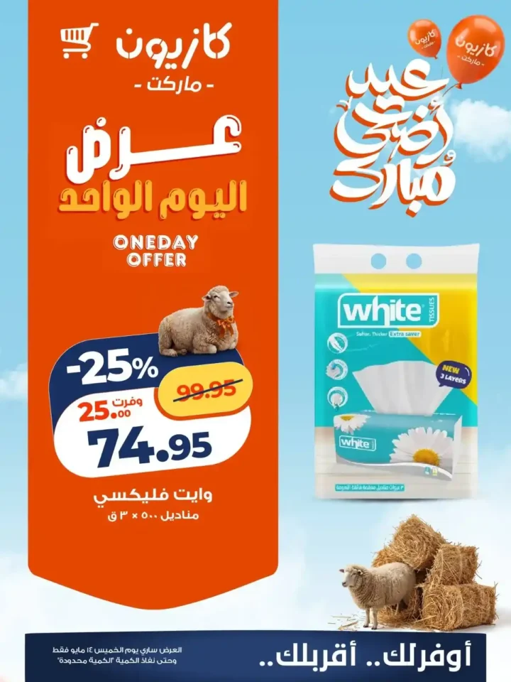 عروض كازيون اليوم الواحد 2026.. تخفيضات قوية على الأرز واللبن والمناديل والحفاضات ليوم واحد فقط. 3 عروض كازيون