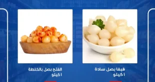 عروض أولاد رجب 2026.. تخفيضات قوية على الجبن والأسماك والدواجن في عروض وسط الأسبوع.