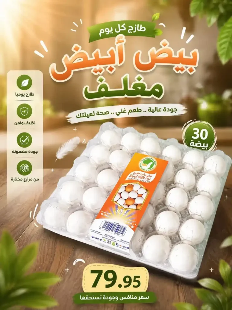 عروض سوق الجملة ماركت العبور 2026 | خصومات حصرية على احتياجات البيت بأسعار الجملة. 1 عروض سوق الجملة ماركت العبور 2026 | خصومات حصرية على احتياجات البيت بأسعار الجملة