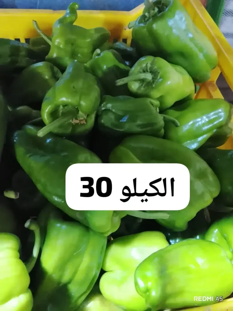 عروض أسواق مصر اليوم على الخضار والفاكهة.. العويسي ملكة المانجو تتصدر المشهد بأسعار مميزة 1 عروض أسواق مصر اليوم على الخضار والفاكهة..