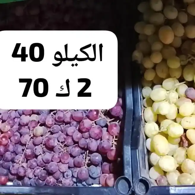 عروض أسواق مصر اليوم على الخضار والفاكهة.. العويسي ملكة المانجو تتصدر المشهد بأسعار مميزة 10 عروض أسواق مصر اليوم على الخضار والفاكهة.. العويسي ملكة المانجو تتصدر المشهد بأسعار مميزة