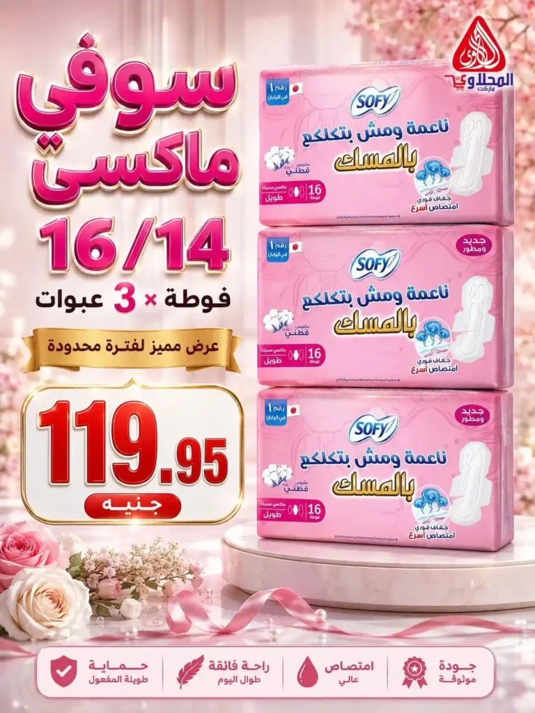 عروض الصيف من المحلاوي ماركت حتى 30 يونيو 2026.. خصومات قوية على احتياجات البيت 15 عروض الصيف من المحلاوي ماركت حتى 30 يونيو 2026.. خصومات قوية على احتياجات البيت