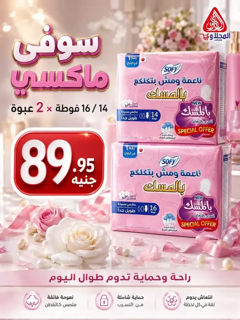 عروض الصيف من المحلاوي ماركت حتى 30 يونيو 2026.. خصومات قوية على احتياجات البيت 16 عروض الصيف من المحلاوي ماركت حتى 30 يونيو 2026.. خصومات قوية على احتياجات البيت