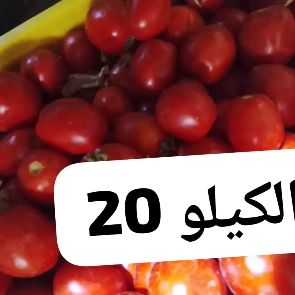 عروض أسواق مصر اليوم على الخضار والفاكهة.. العويسي ملكة المانجو تتصدر المشهد بأسعار مميزة 3 عروض أسواق مصر اليوم على الخضار والفاكهة..