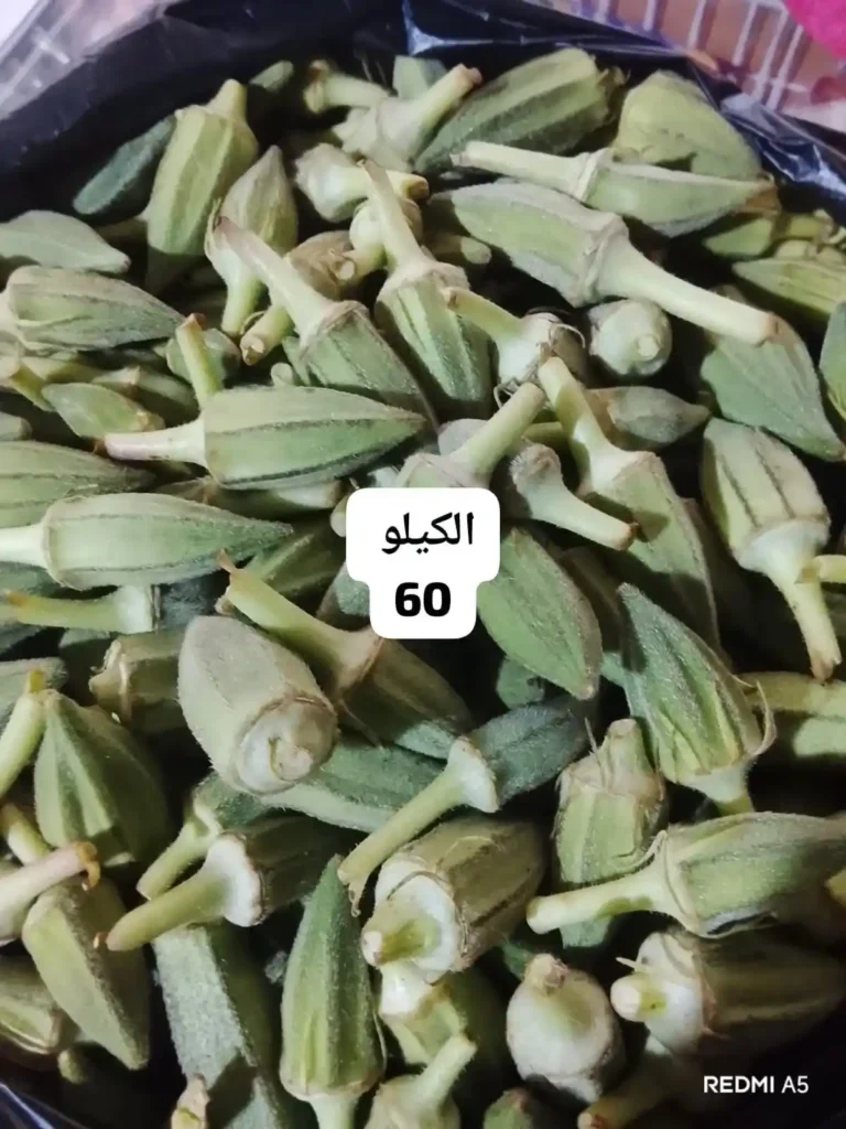 عروض أسواق مصر اليوم على الخضار والفاكهة.. العويسي ملكة المانجو تتصدر المشهد بأسعار مميزة 4 عروض أسواق مصر اليوم على الخضار والفاكهة..