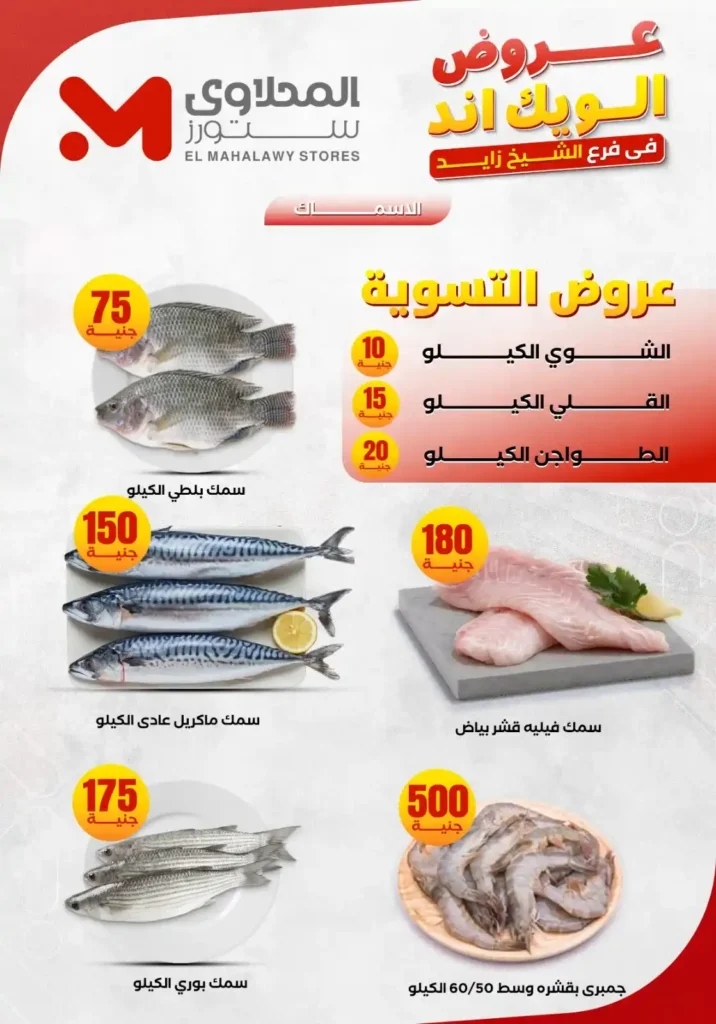 عروض المحلاوي ستورز من 5 إلى 10 يونيو 2026.. تخفيضات قوية على احتياجات المنزل بجميع الفروع. 5 عروض المحلاوي ستورز