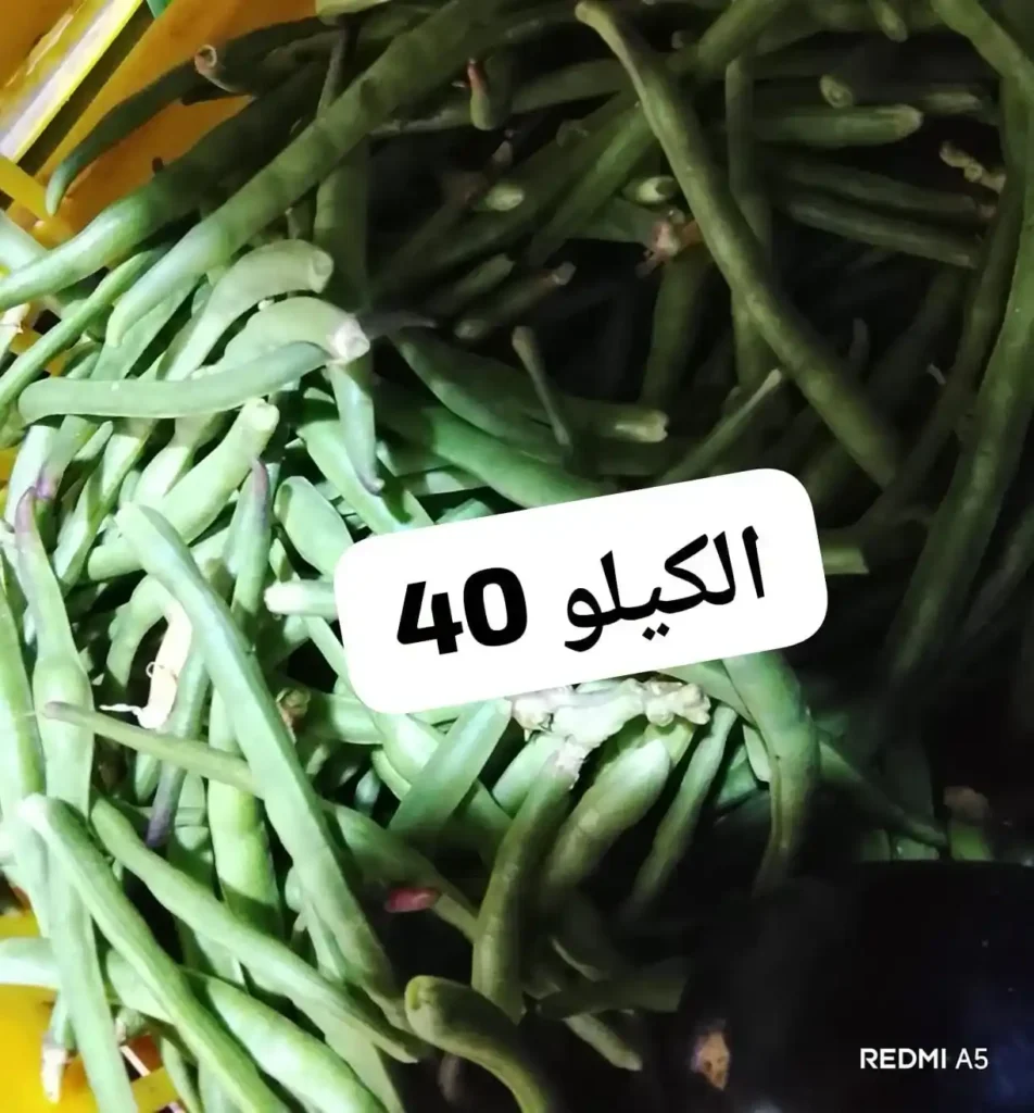 عروض أسواق مصر اليوم على الخضار والفاكهة.. العويسي ملكة المانجو تتصدر المشهد بأسعار مميزة 5 عروض أسواق مصر اليوم على الخضار والفاكهة..
