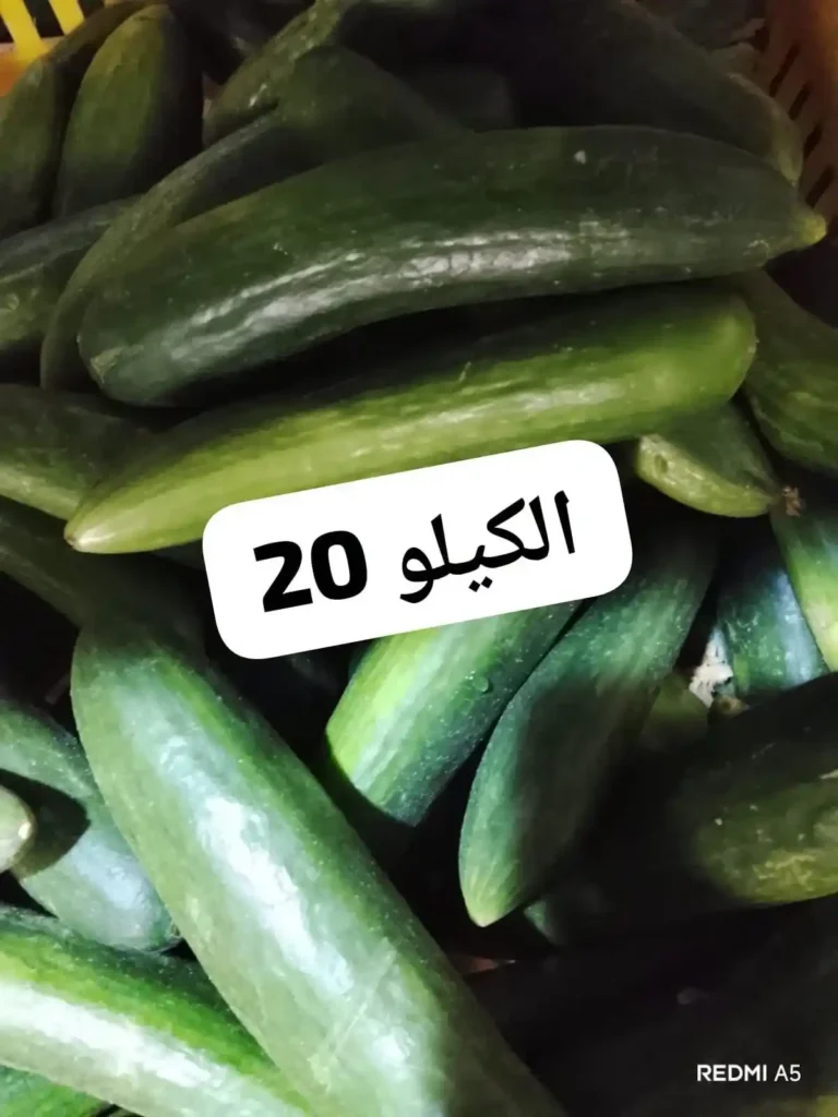 عروض أسواق مصر اليوم على الخضار والفاكهة.. العويسي ملكة المانجو تتصدر المشهد بأسعار مميزة 6 عروض أسواق مصر اليوم على الخضار والفاكهة..