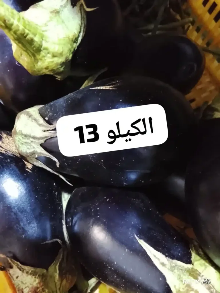 عروض أسواق مصر اليوم على الخضار والفاكهة.. العويسي ملكة المانجو تتصدر المشهد بأسعار مميزة 7 عروض أسواق مصر اليوم على الخضار والفاكهة.. ا