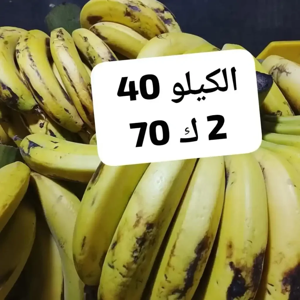 عروض أسواق مصر اليوم على الخضار والفاكهة.. العويسي ملكة المانجو تتصدر المشهد بأسعار مميزة 8 عروض أسواق مصر اليوم على الخضار والفاكهة.. العويسي ملكة المانجو تتصدر المشهد بأسعار مميزة