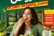 عروض الحبيب ماركت على الفواكه والخضروات الطازجة في قنا.. خصومات مميزة وعرض 4+1 هدية. 8 عروض الحبيب ماركت على الفواكه والخضروات الطازجة في قنا.. خصومات مميزة وعرض 4+1 هدية