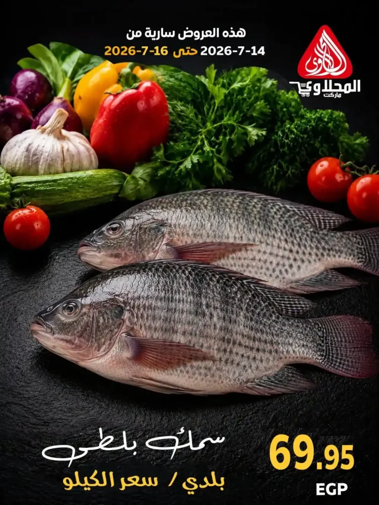 عروض المحلاوي ماركت 2026.. تخفيضات على الخضروات والفاكهة والأسماك حتى 16 يوليو 13 عروض المحلاوي ماركت 2026.. تخفيضات على الخضروات والفاكهة والأسماك حتى 16 يوليو