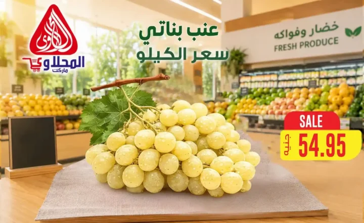 عروض المحلاوي ماركت 2026.. تخفيضات على الخضروات والفاكهة والأسماك حتى 16 يوليو 3 عروض المحلاوي ماركت 2026