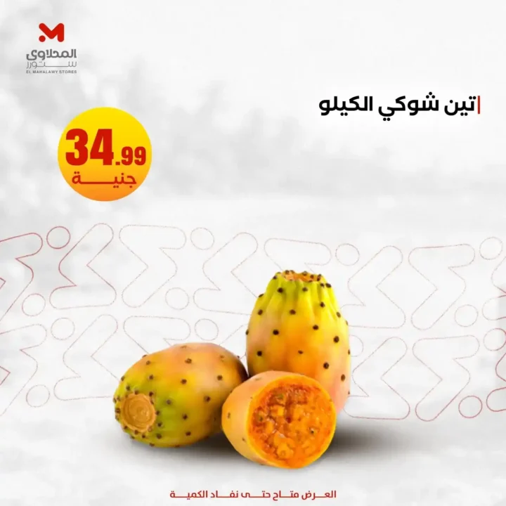 عروض المحلاوي ستورز 2026.. أحدث عروض الخضروات والفاكهة بأسعار مميزة حتى 22 يوليو. 3 عروض المحلاوي ستورز 2026.. أحدث عروض الخضروات والفاكهة بأسعار مميزة حتى 22 يوليو