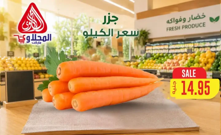 عروض المحلاوي ماركت 2026.. تخفيضات على الخضروات والفاكهة والأسماك حتى 16 يوليو 6 عروض المحلاوي ماركت 2026