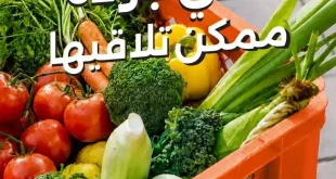 عروض بيت الجملة Fresh Food من 7 إلى 9 سبتمبر 2026
