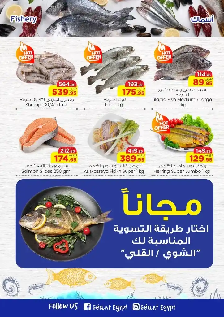 7 عروض مصر عرو ض جيان 7 7
