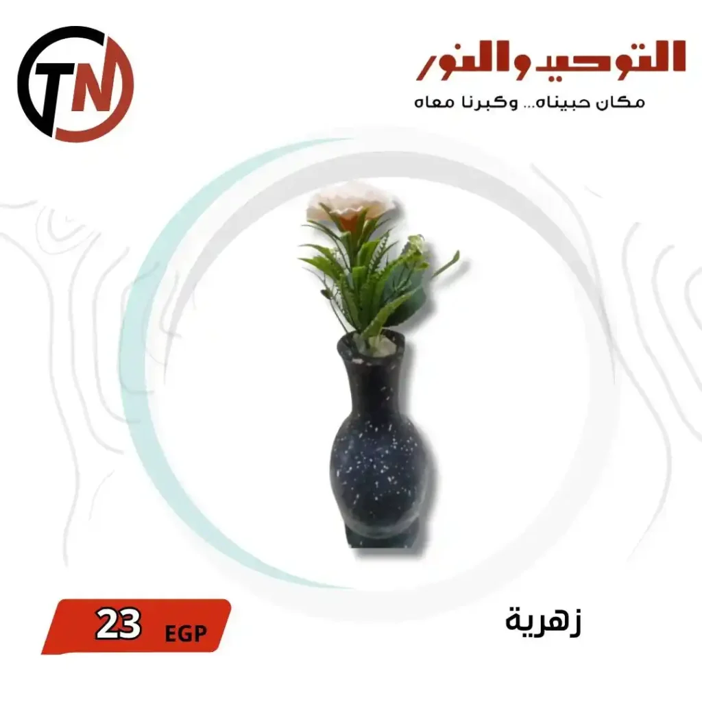 Tawhid and Light Offers